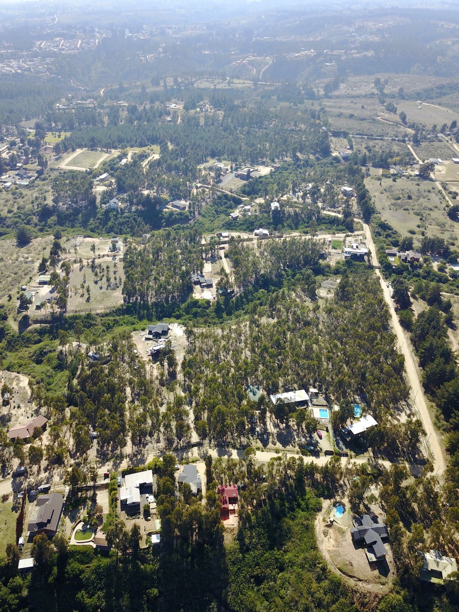 Vista aérea del sector de parcelas en el bosque de eucaliptos — Parcela 1, Parcela Los Litres