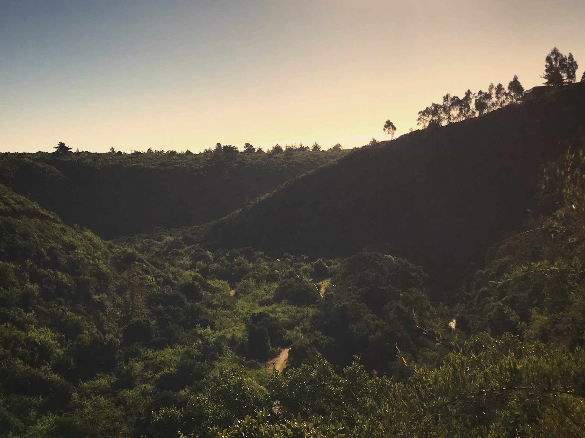 La quebrada del valle al atardecer — Parcela 1, Parcela Los Litres